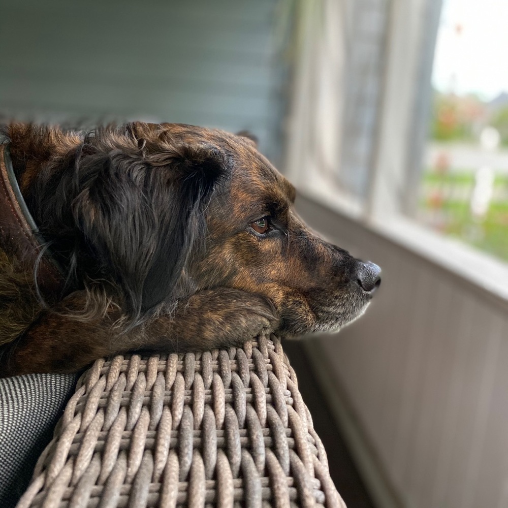 Meet your Posher, Rhyan